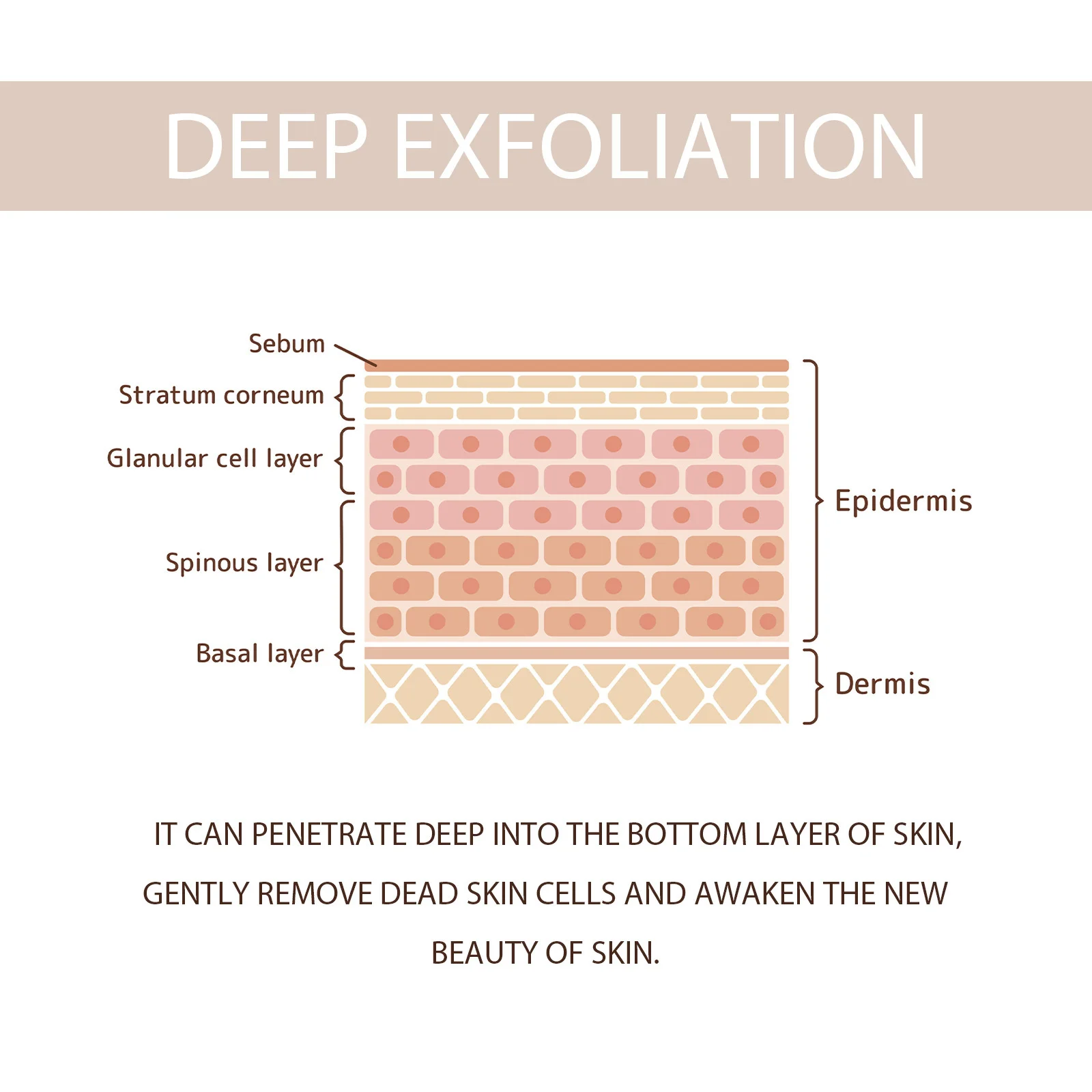 Exfoliating scrubs - Image 5